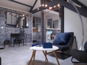 Loft Haut de Gamme Centre Montargis, Place de Parking, Local à vélos, Linge de lits et serviettes, coin rivière amenagé, Hamac, Épicerie, Vélos en option, Tout confort jusqu'à 4 voyageurs